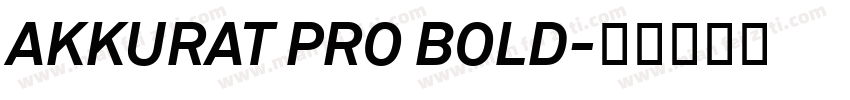 AKKURAT PRO BOLD字体转换